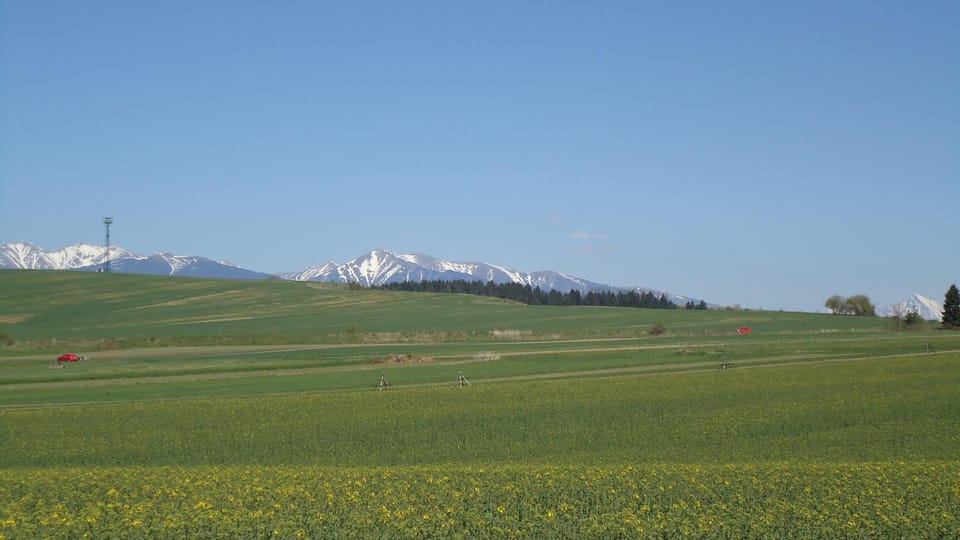 Natural landscape