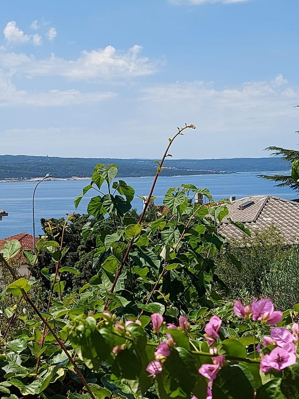 Ana Apartment Apartment in Crikvenica