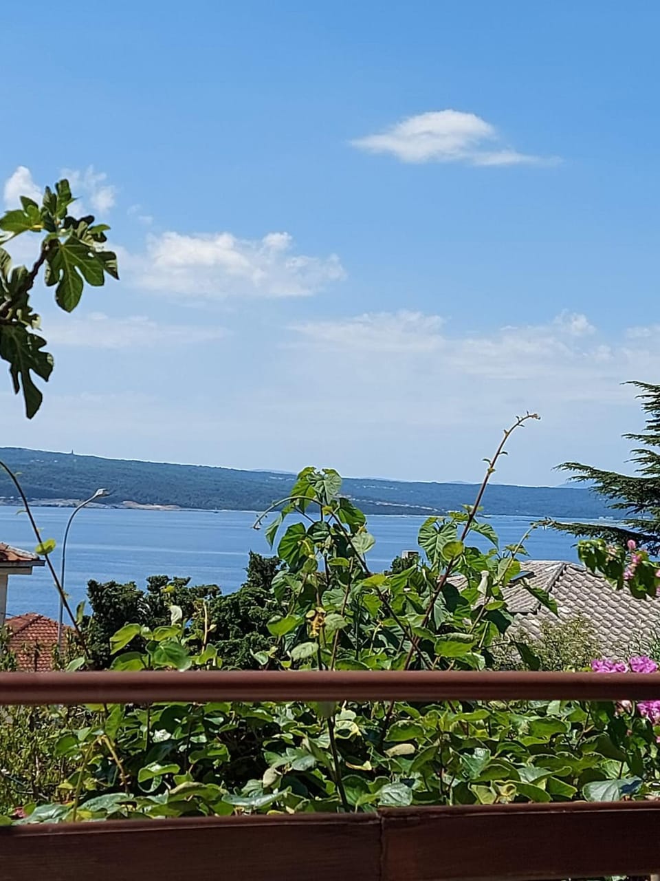 Ana Apartment Apartment in Crikvenica