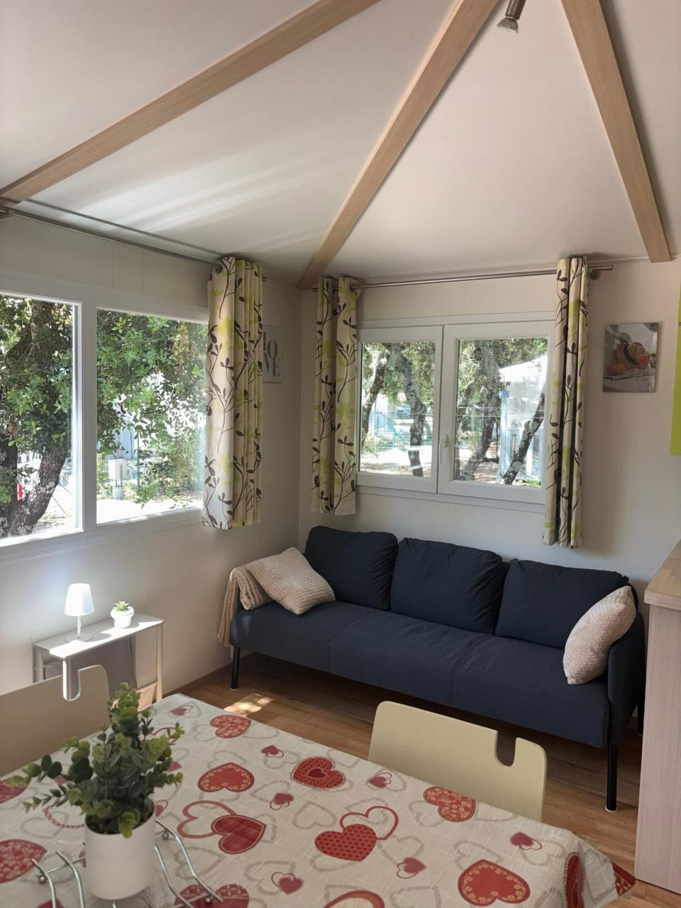 Mobil-home 4 personnes climatisé dans le sud de l'Ardeche Campground/ 
RV Resort in Provence