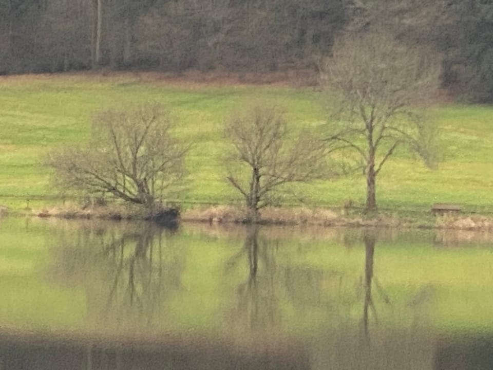 Natural landscape