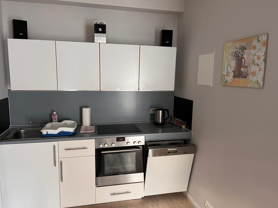 Kitchen or kitchenette, dishwasher, oven, stove