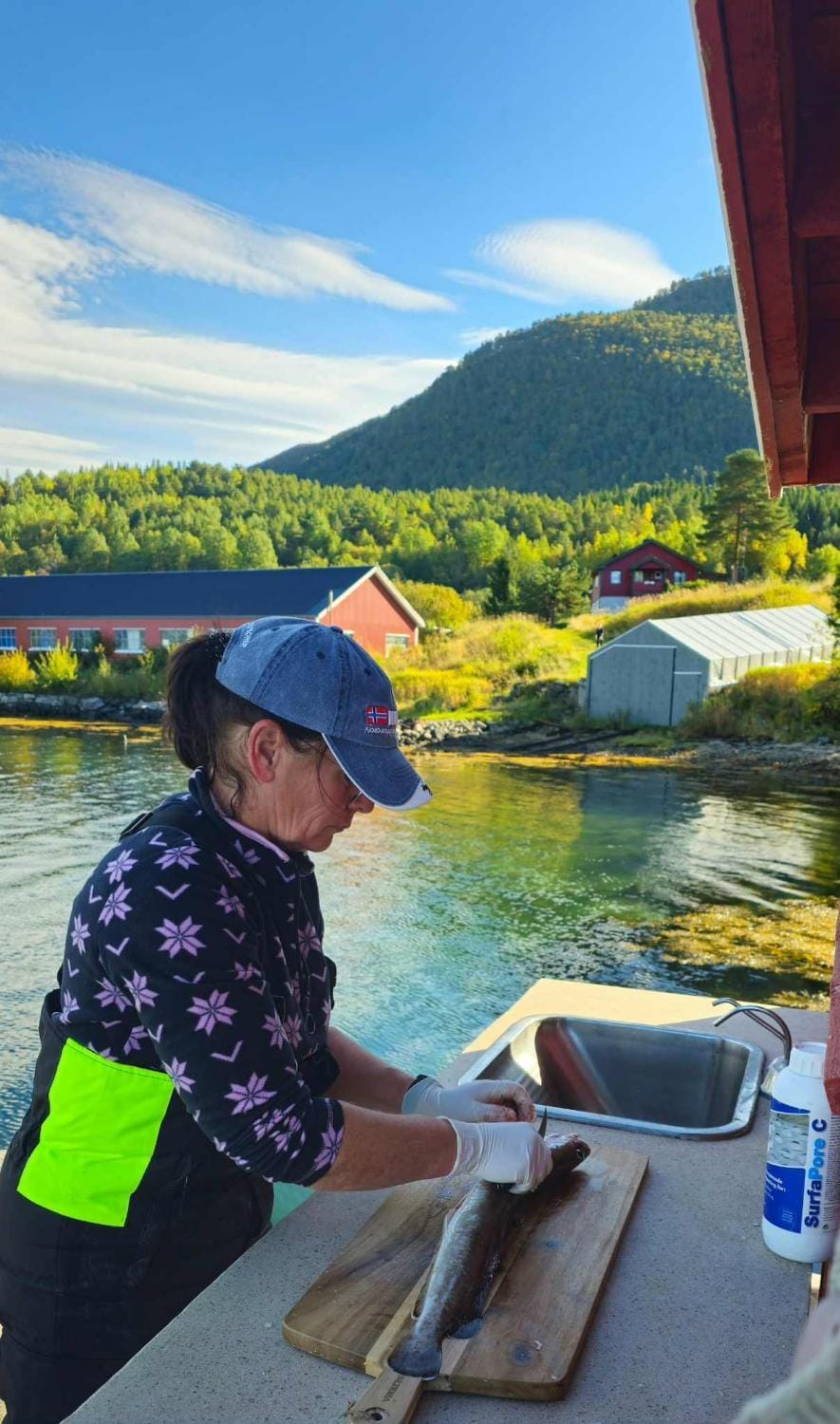 Natural landscape, Activities, Fishing