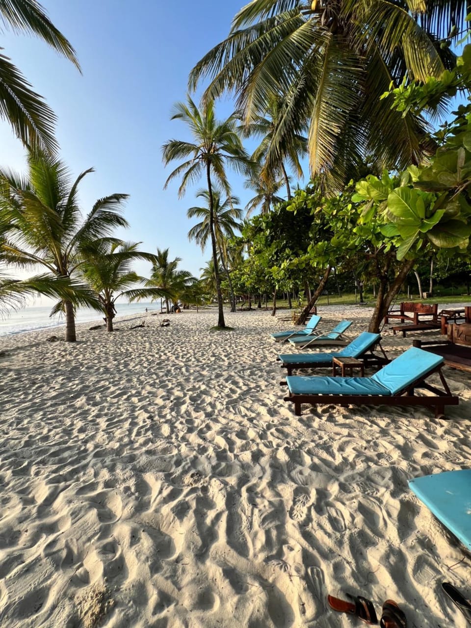 Sun and Sand at Golden Sun Diani Apartment in Diani Beach