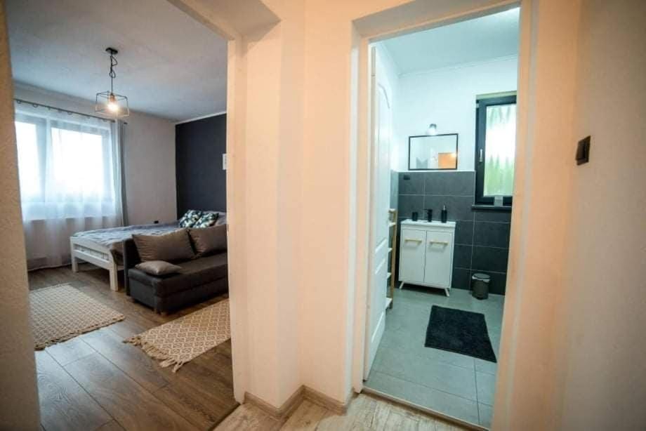 Bara Apartment and Studio Apartment in Romania