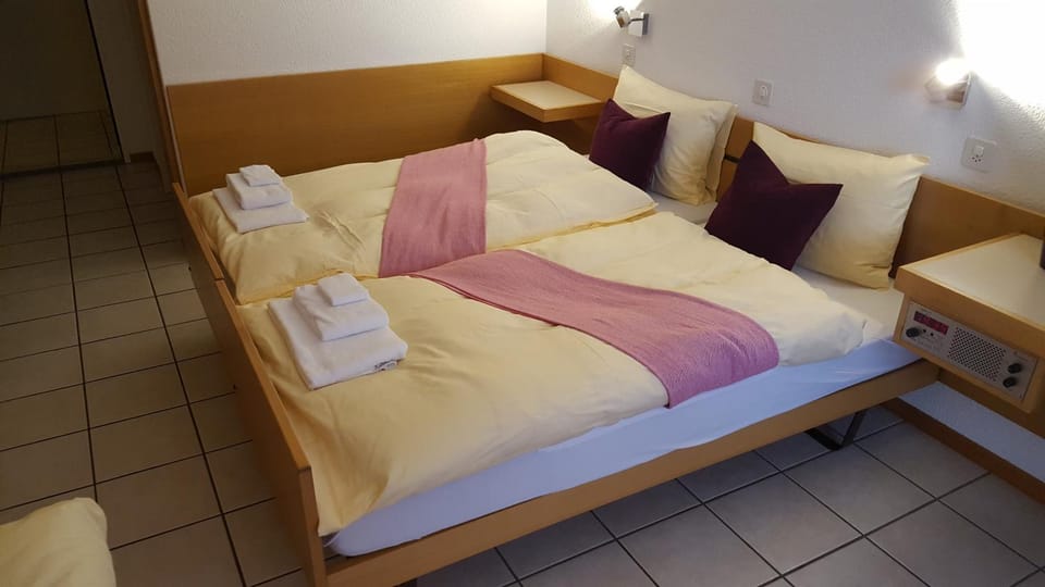 Hotel Lötschberg Hotel in Canton of Bern (Region)