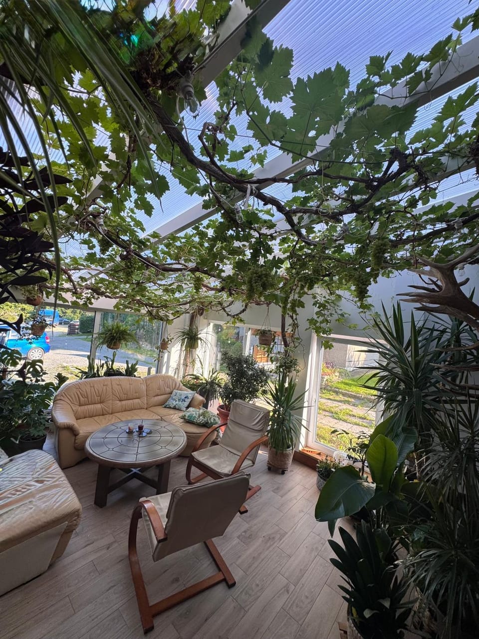 Patio, Seating area