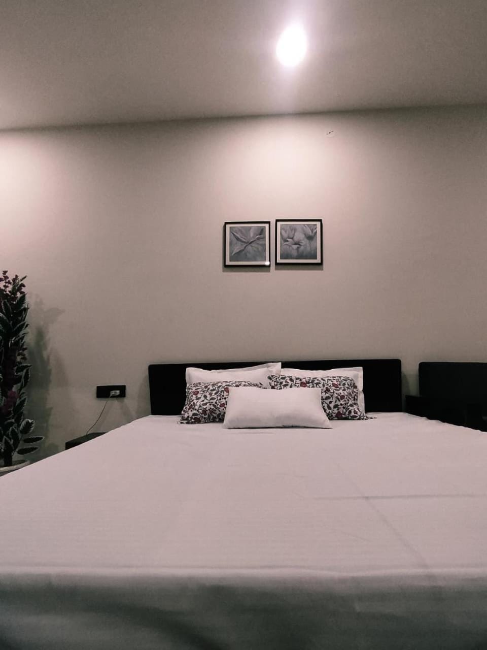 Chic Modern Flat in Jaipur Apartment in Jaipur