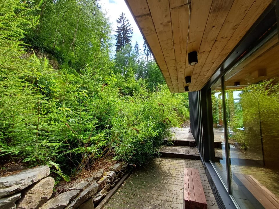 Day, Natural landscape, Garden, View (from property/room)