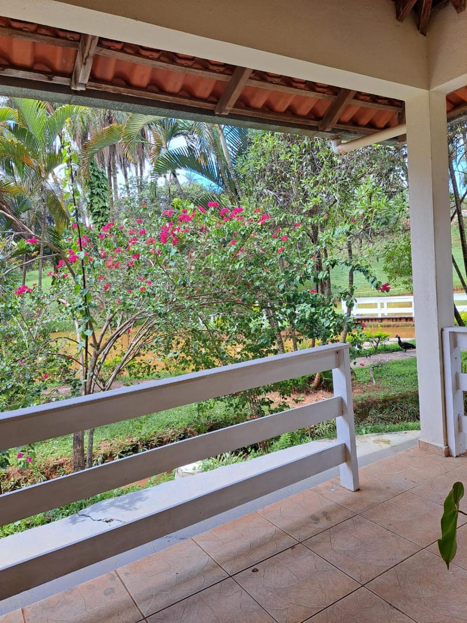 Patio, View (from property/room), Balcony/Terrace