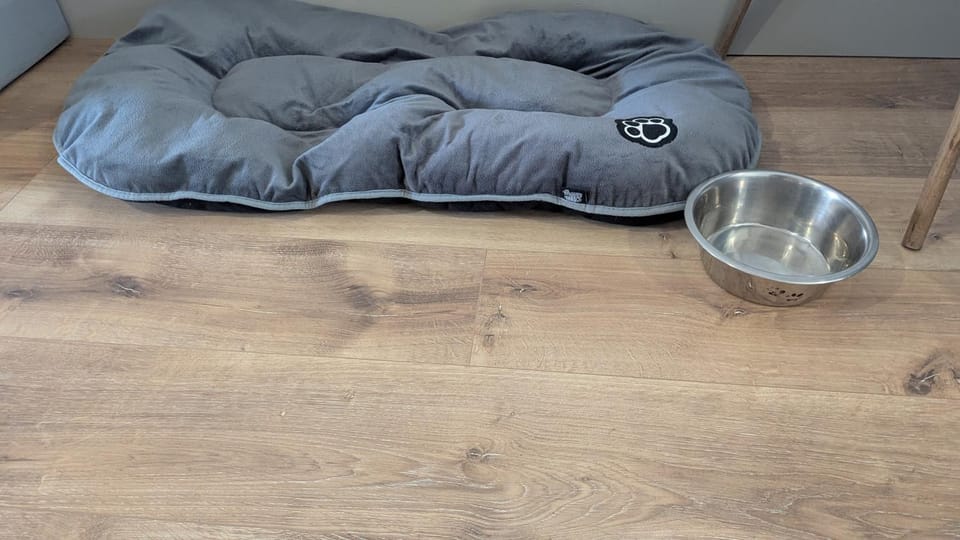 pet friendly