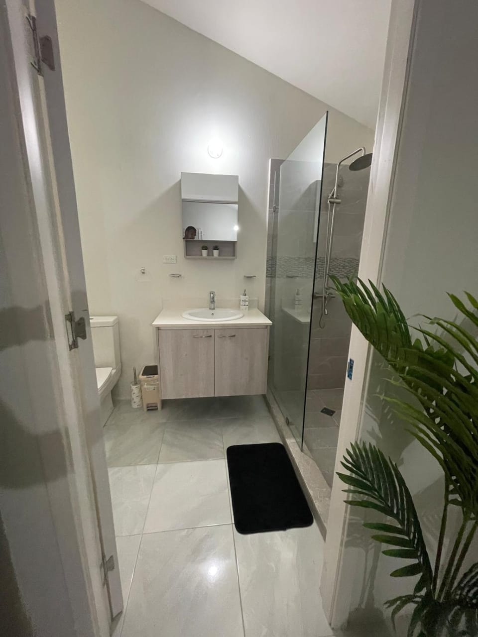 Shower, Bathroom, towels