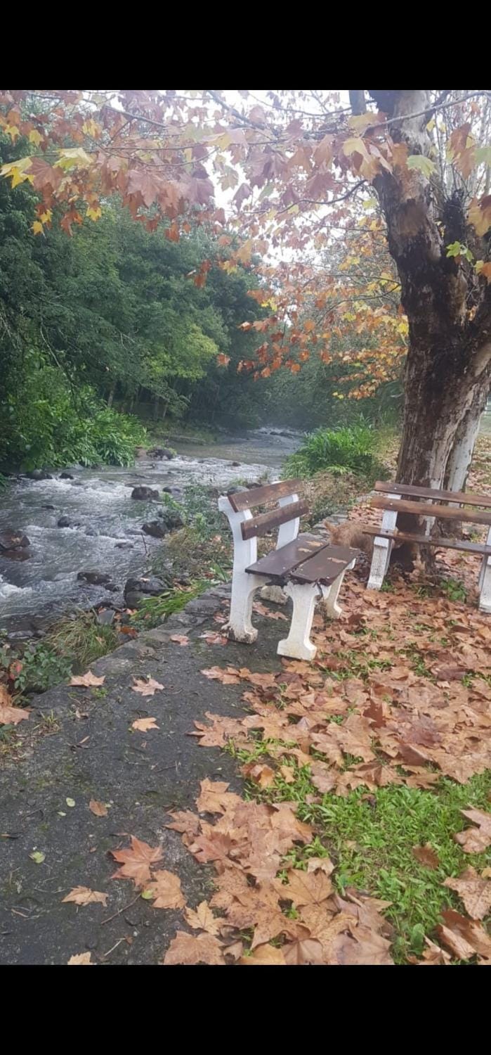 Sitio Recanto Do Sossego House in State of Rio Grande do Sul