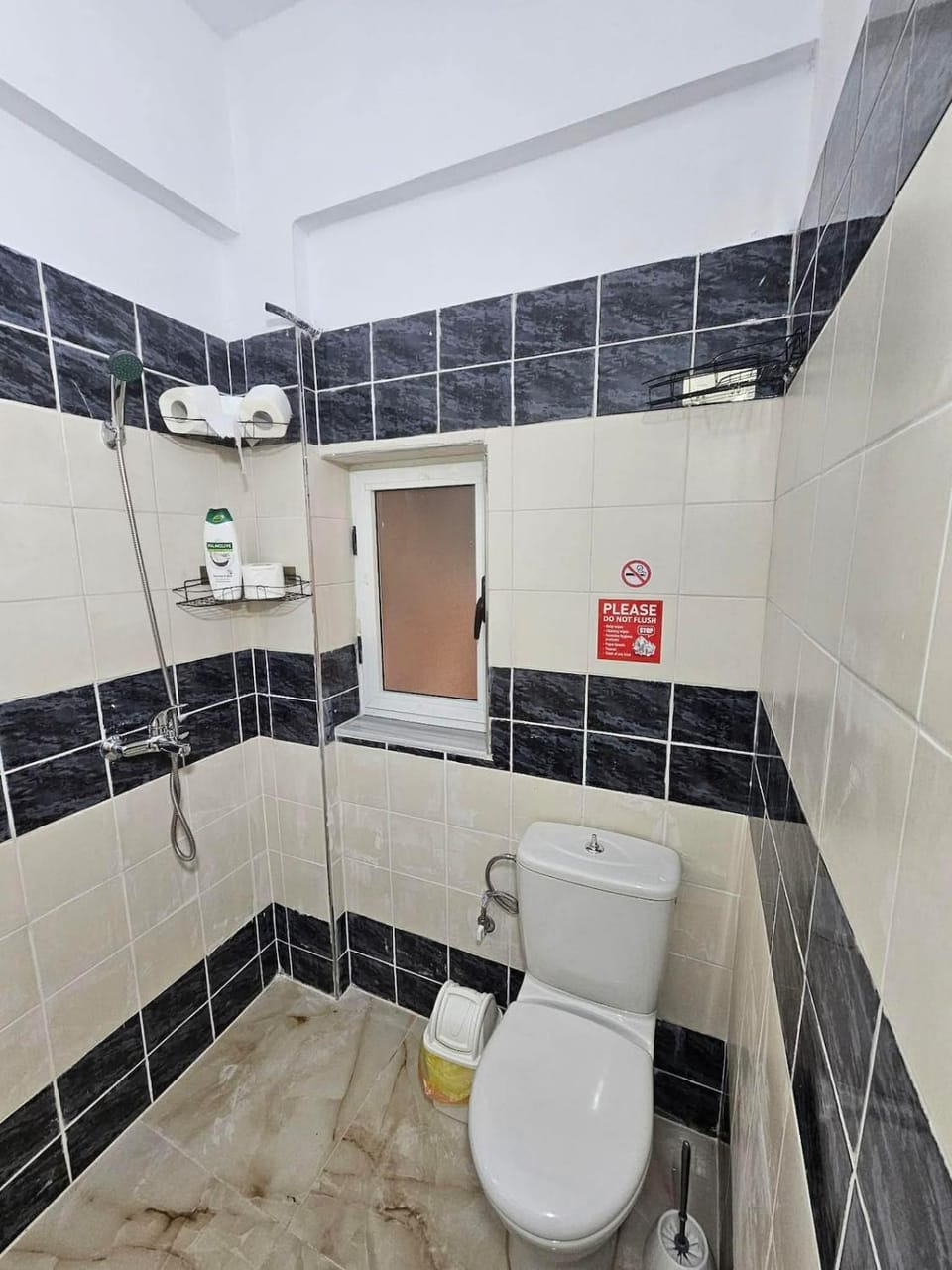 Shower, Toilet