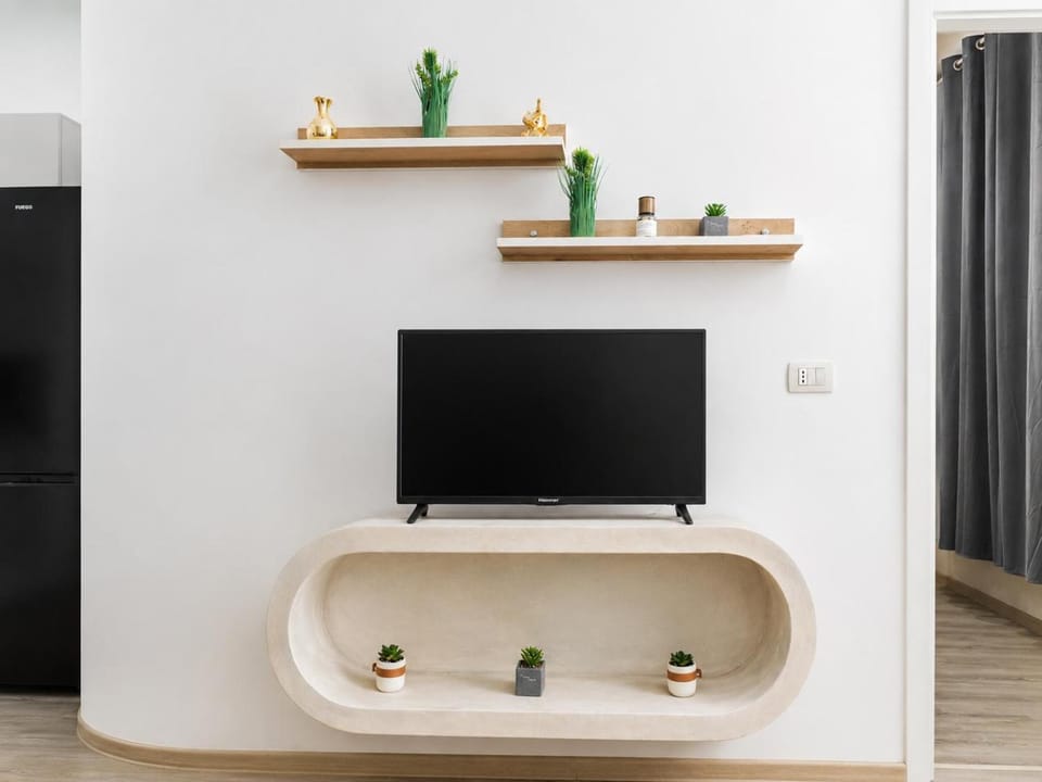 TV and multimedia