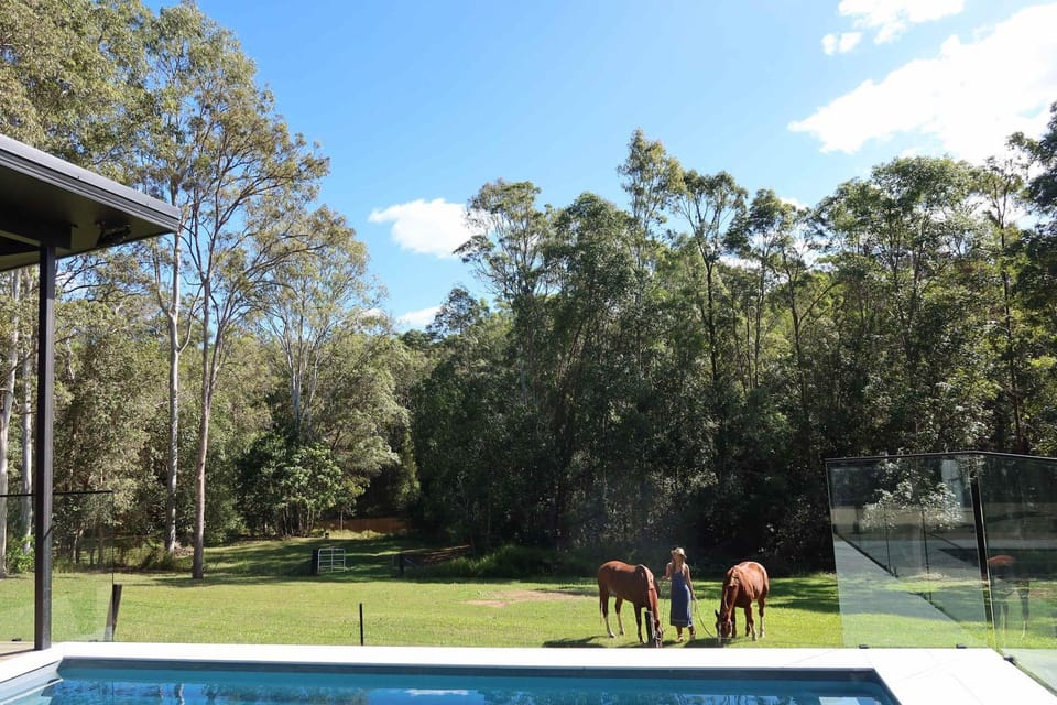 Pool view, Swimming pool