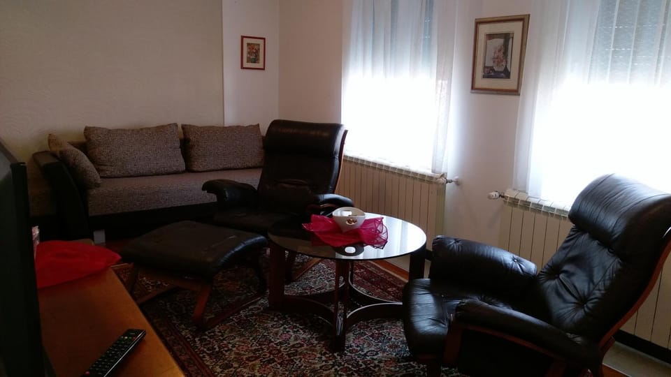 Apartment Krsmanovic Apartment in Serbia