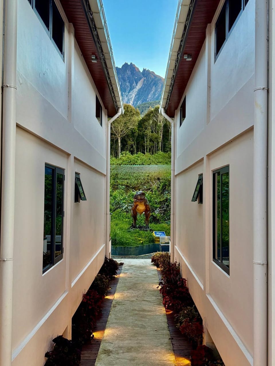 Garden view