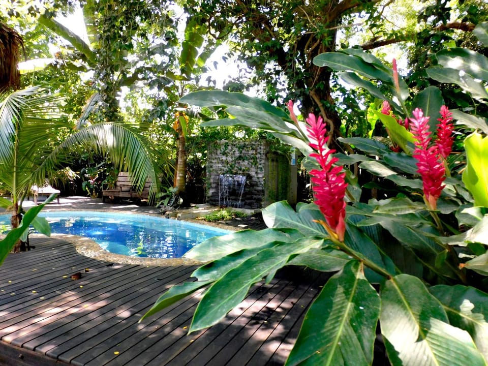 Garden, Swimming pool