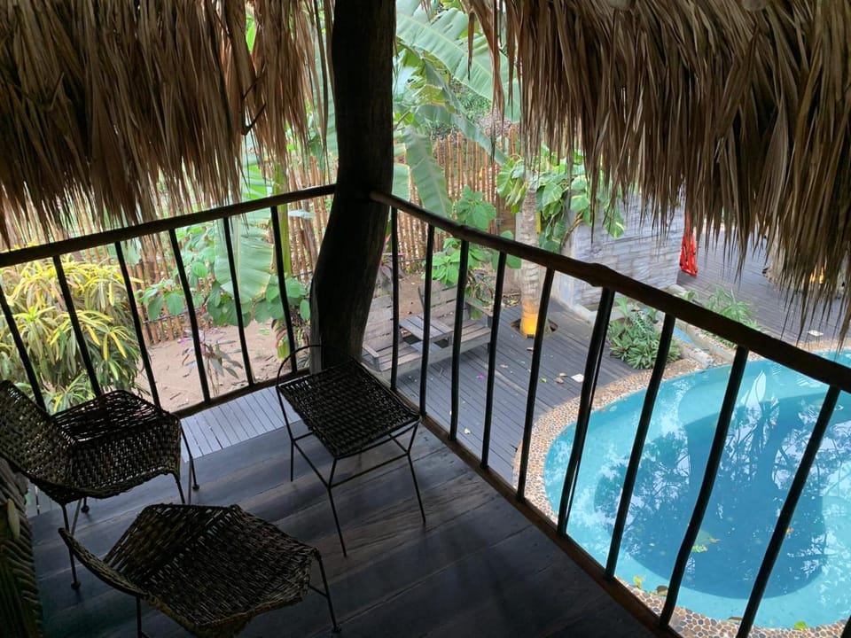 Garden view