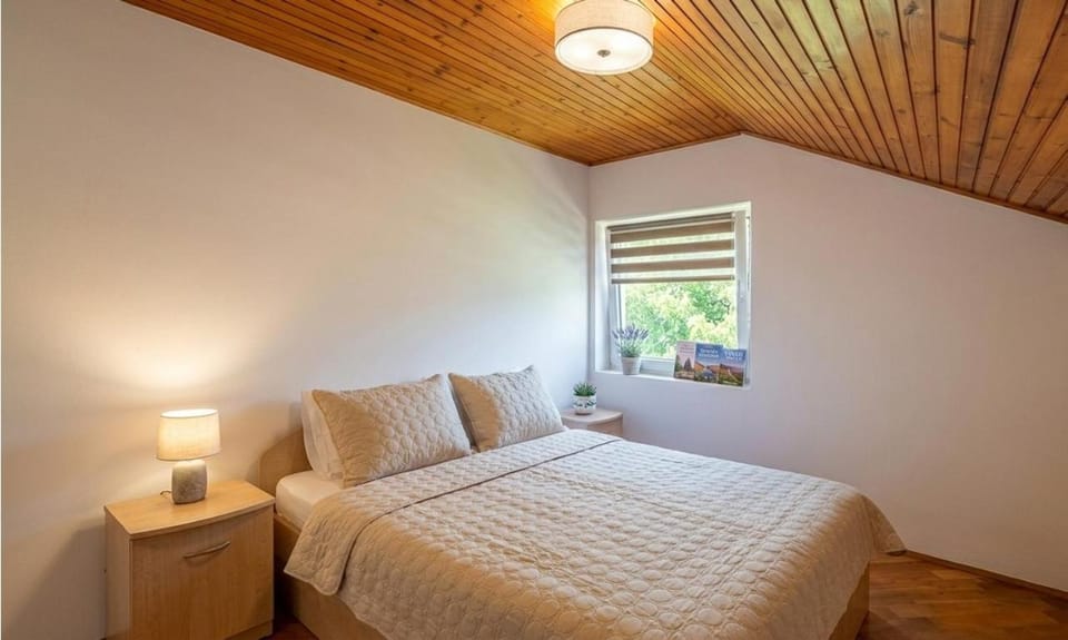 Ruska kuca Villa in Serbia