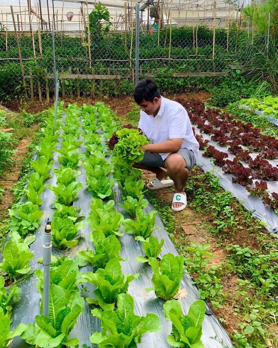 Garden