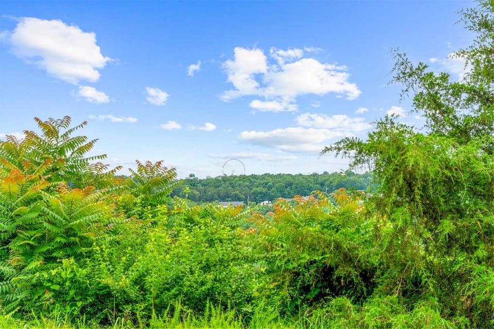 Spruce Valley Condo 3BDR House in Branson