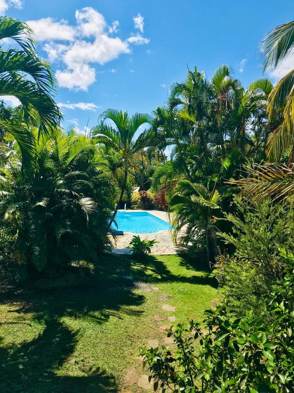 Garden view, Swimming pool