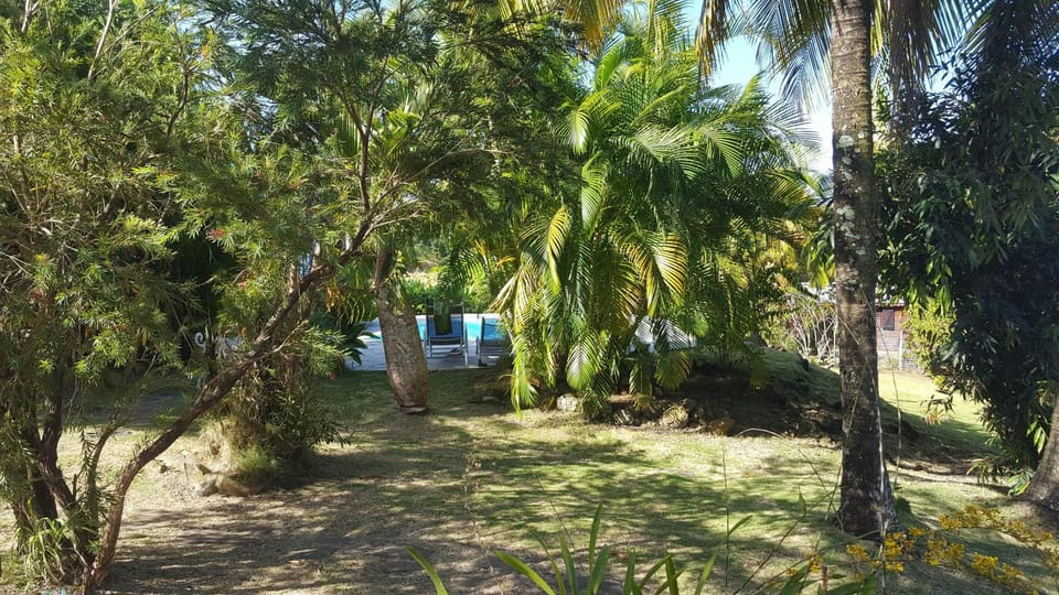 Garden view, Swimming pool