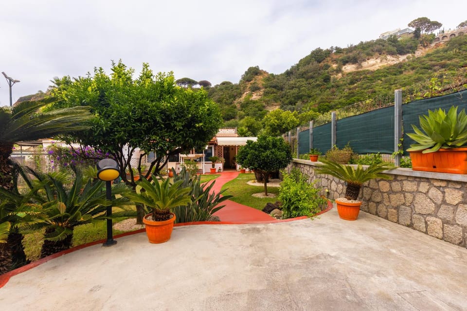 Garden, Garden view