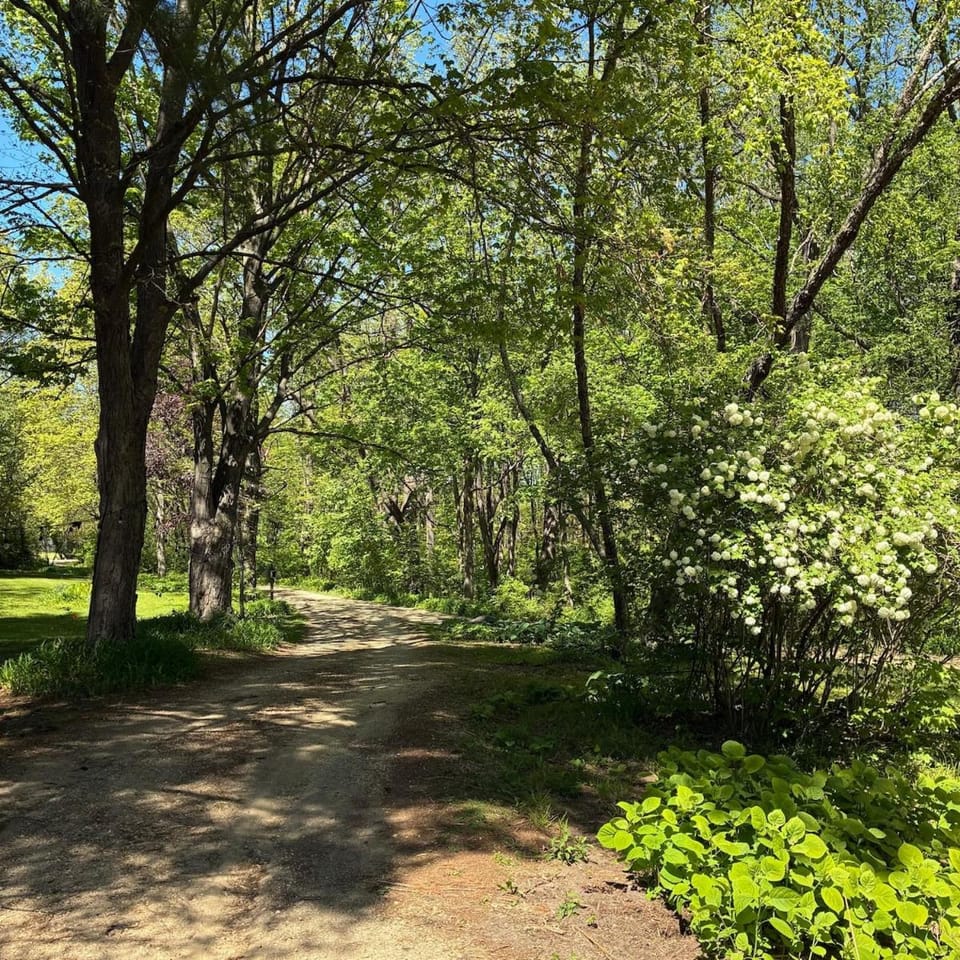 8 Acres of Privacy Your Group Escape House in Rockford