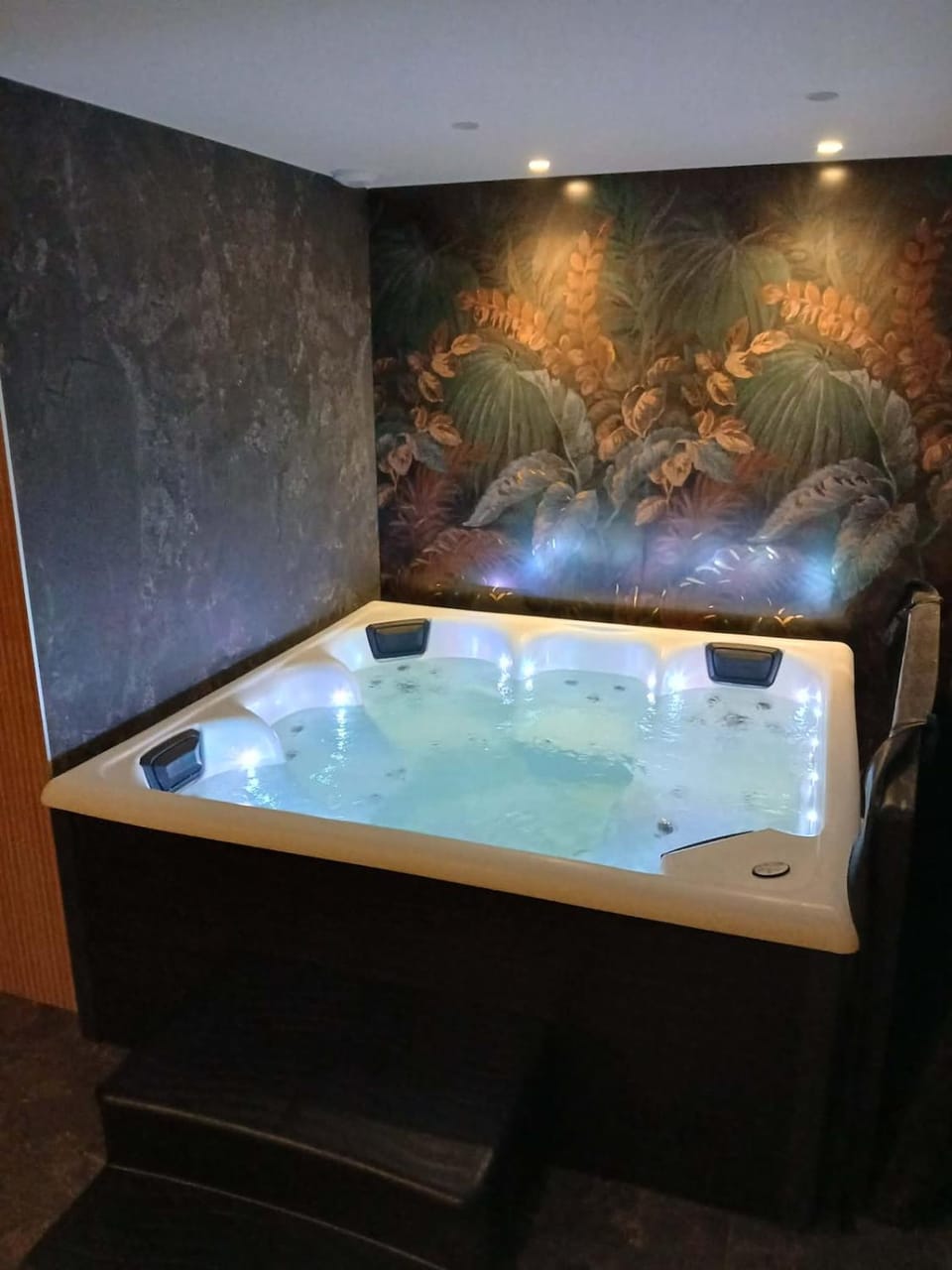 Hot Tub, Spa and wellness centre/facilities