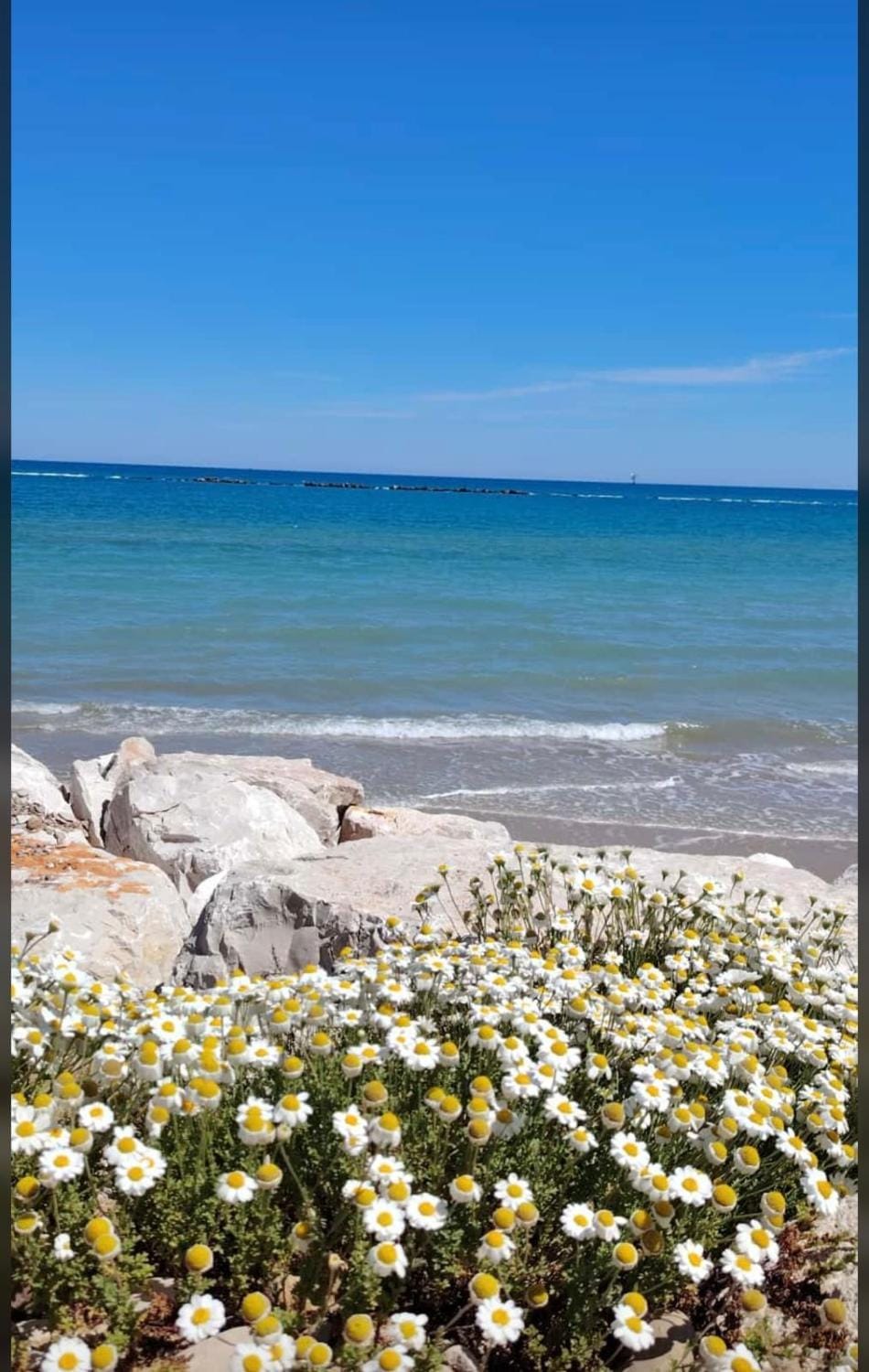 RELAIS dei TRABOCCHI Apartment in Abruzzo