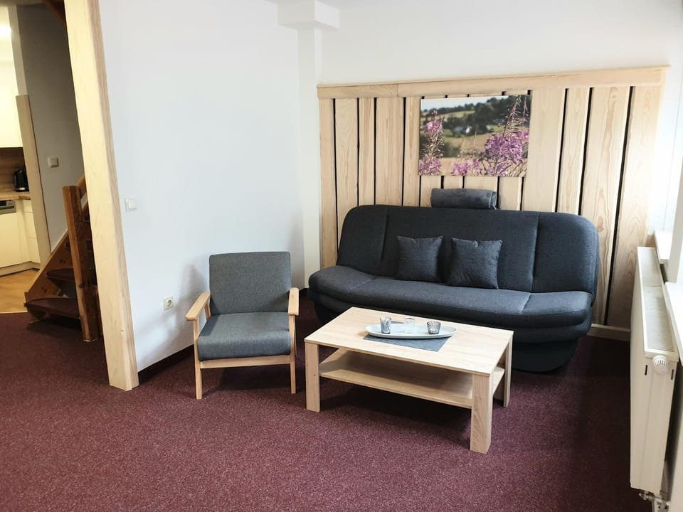 Sauberghaus Wohnung 3 Apartment in Erzgebirgskreis