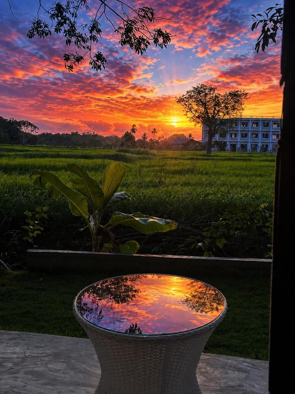 Trump House Hotel in Sri Lanka