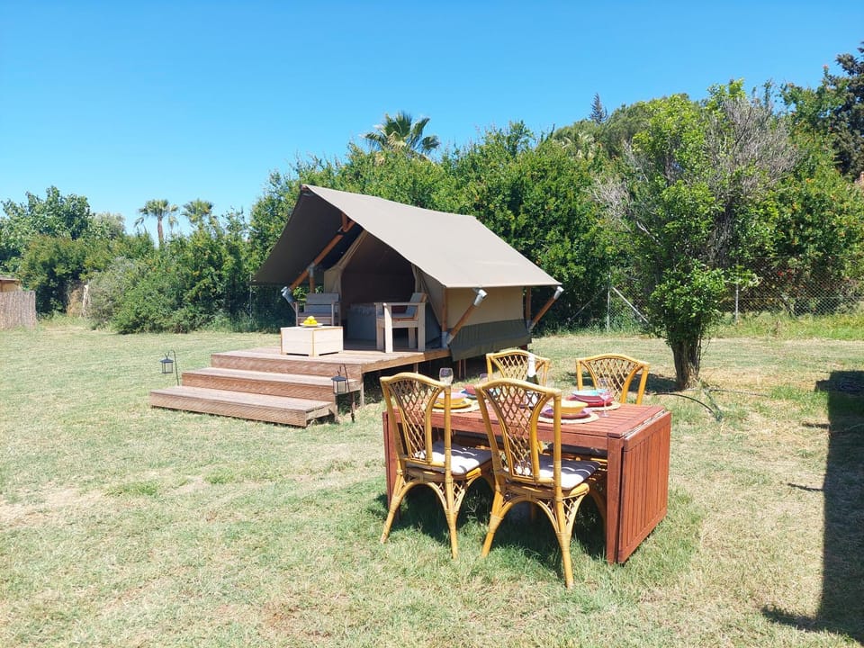 Guests, Area and facilities