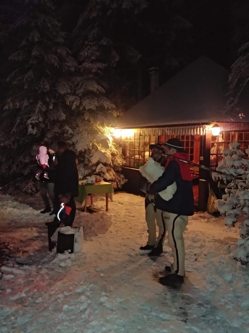 Winter, Garden