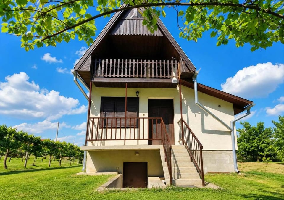 Chata Leonard House in Slovakia