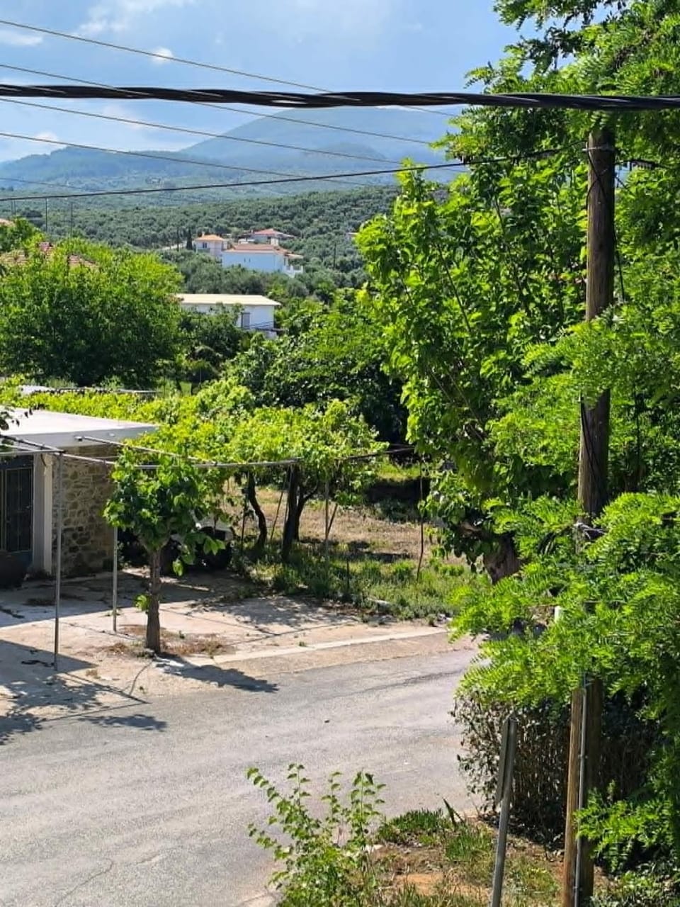 Velvet horizon Guest House Apartment in Messenia
