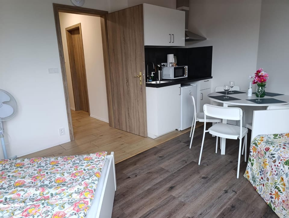 Brand New studio apartment #10 near center with FREE street parking Apartment in Prague
