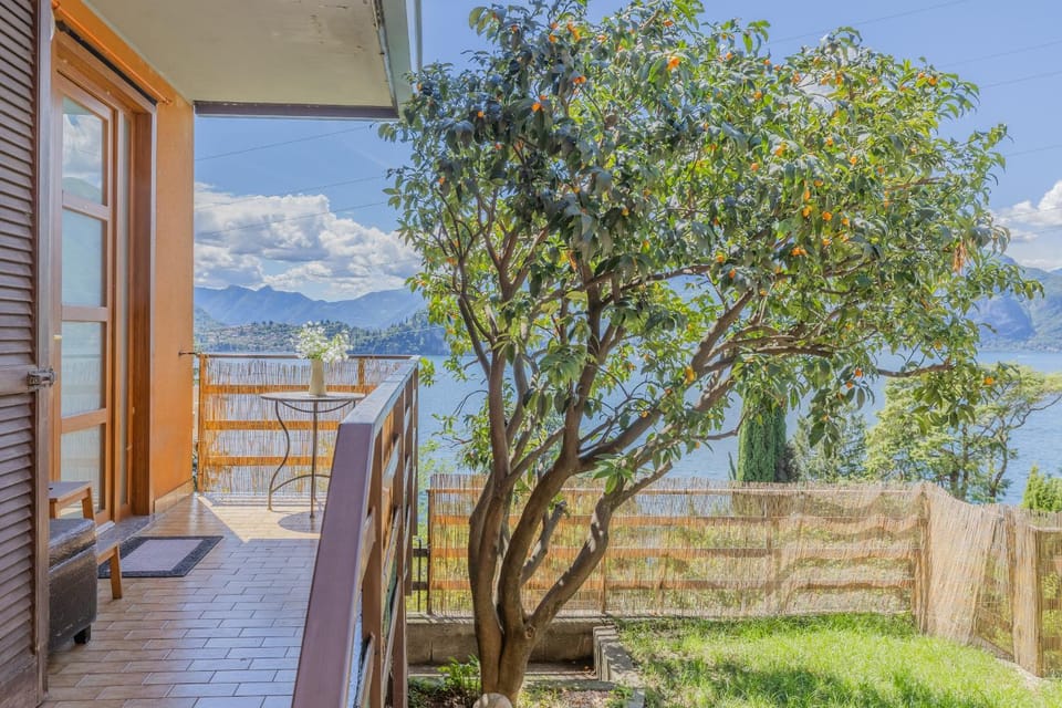 Patio, Garden, Garden view