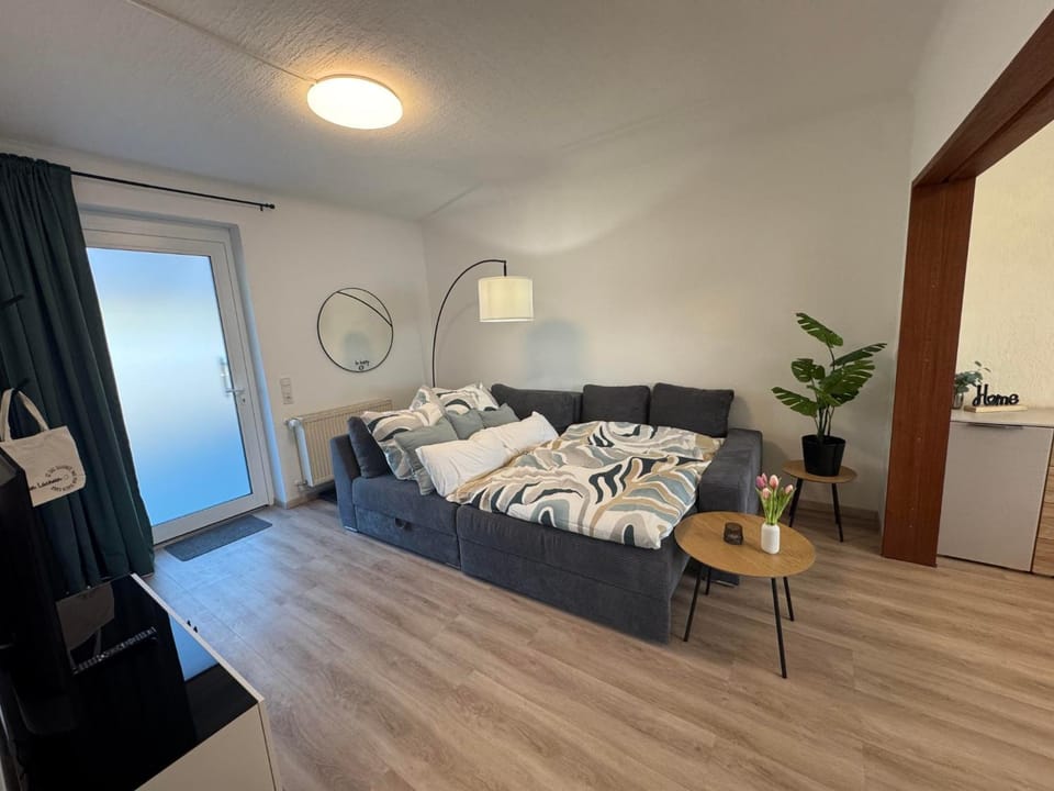 Bed, Living room, Photo of the whole room