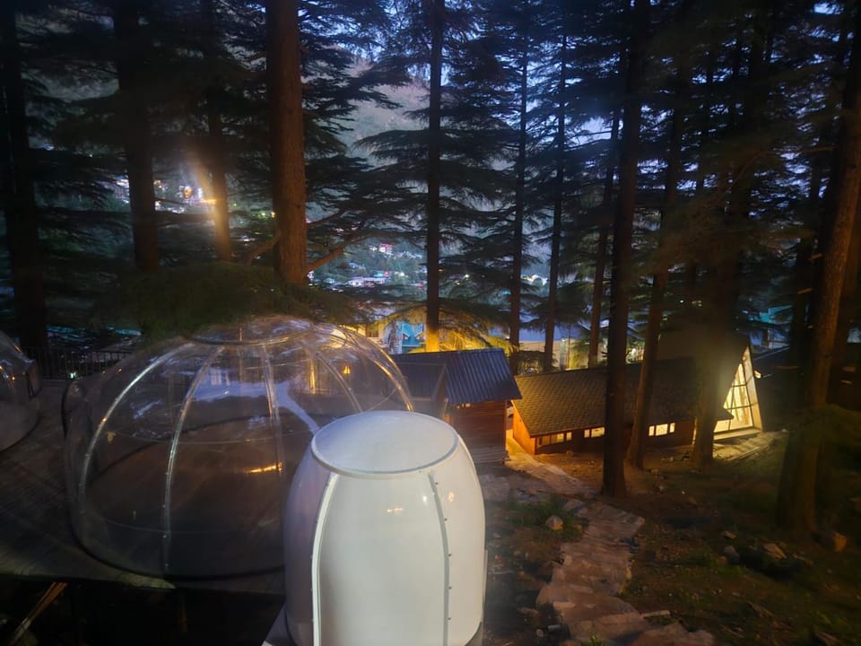 log hut dharamkot Resort in Himachal Pradesh