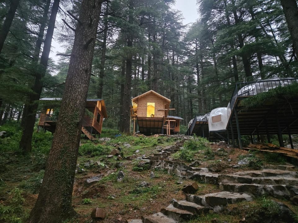 log hut dharamkot Resort in Himachal Pradesh