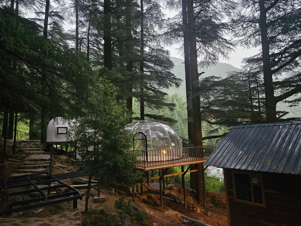 log hut dharamkot Resort in Himachal Pradesh