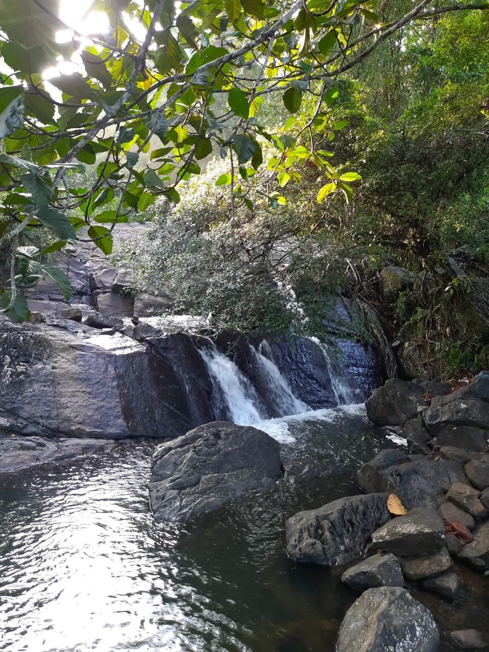 Cottage by Ranmuduella Nature lodge in Western Province