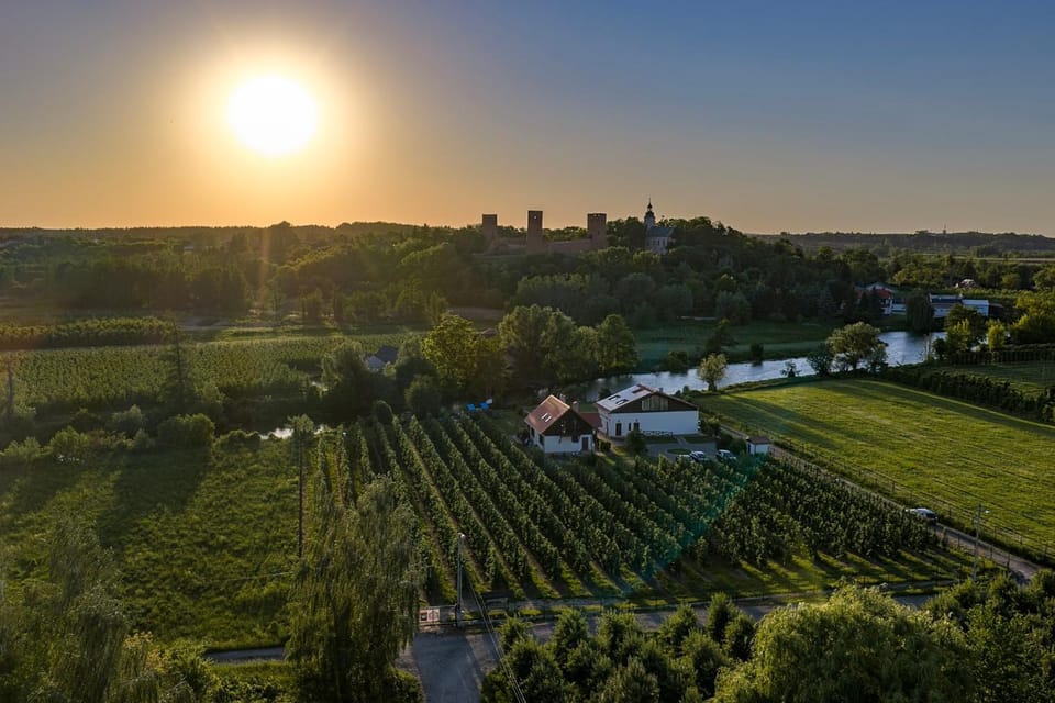 Bird's eye view, Garden view