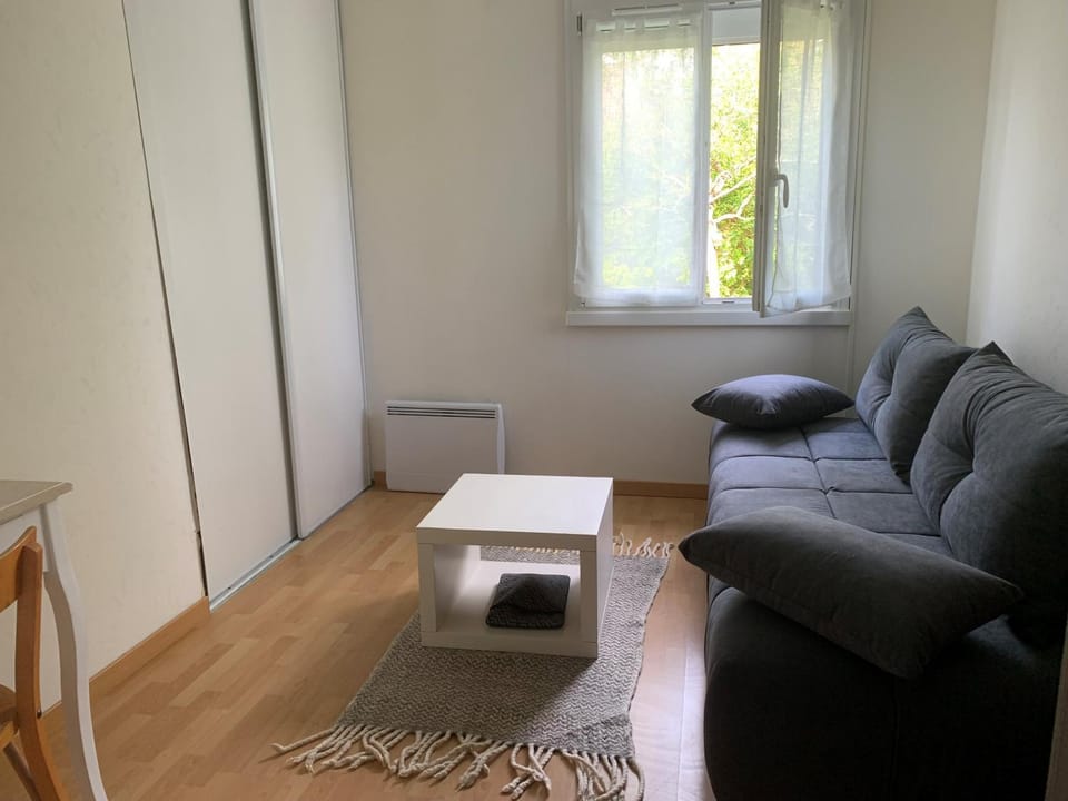 Bel appartement Apartment in Fontainebleau