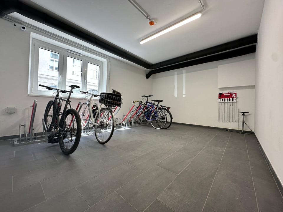 Roomy Apartments for Families and Groups Apartment in Vienna