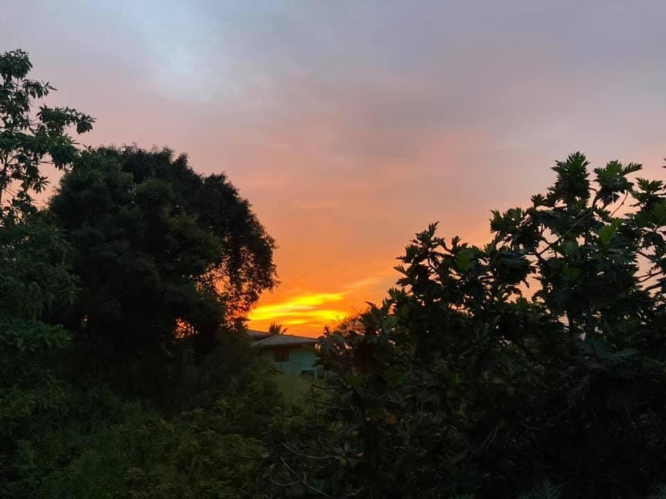 Natural landscape, Sunset